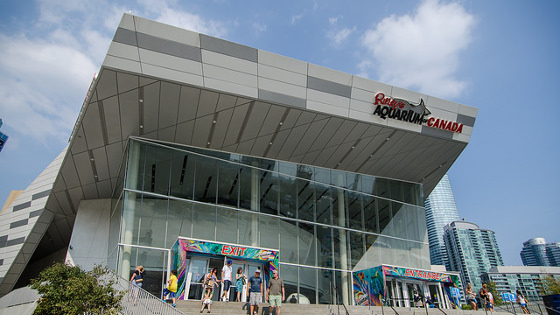 Ripley's Aquarium of Canada