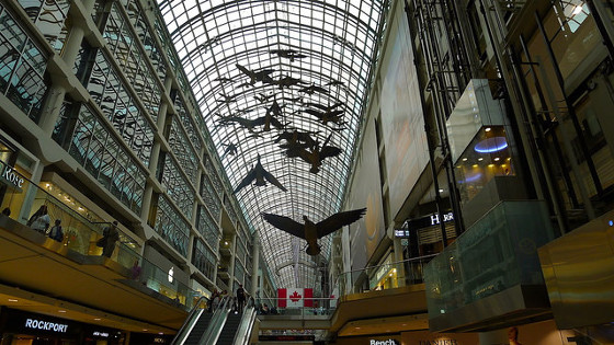 Canada Geese In Flight - Eaton Center