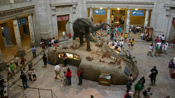National Museum of Natural History